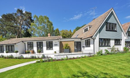 home landscape green lawn